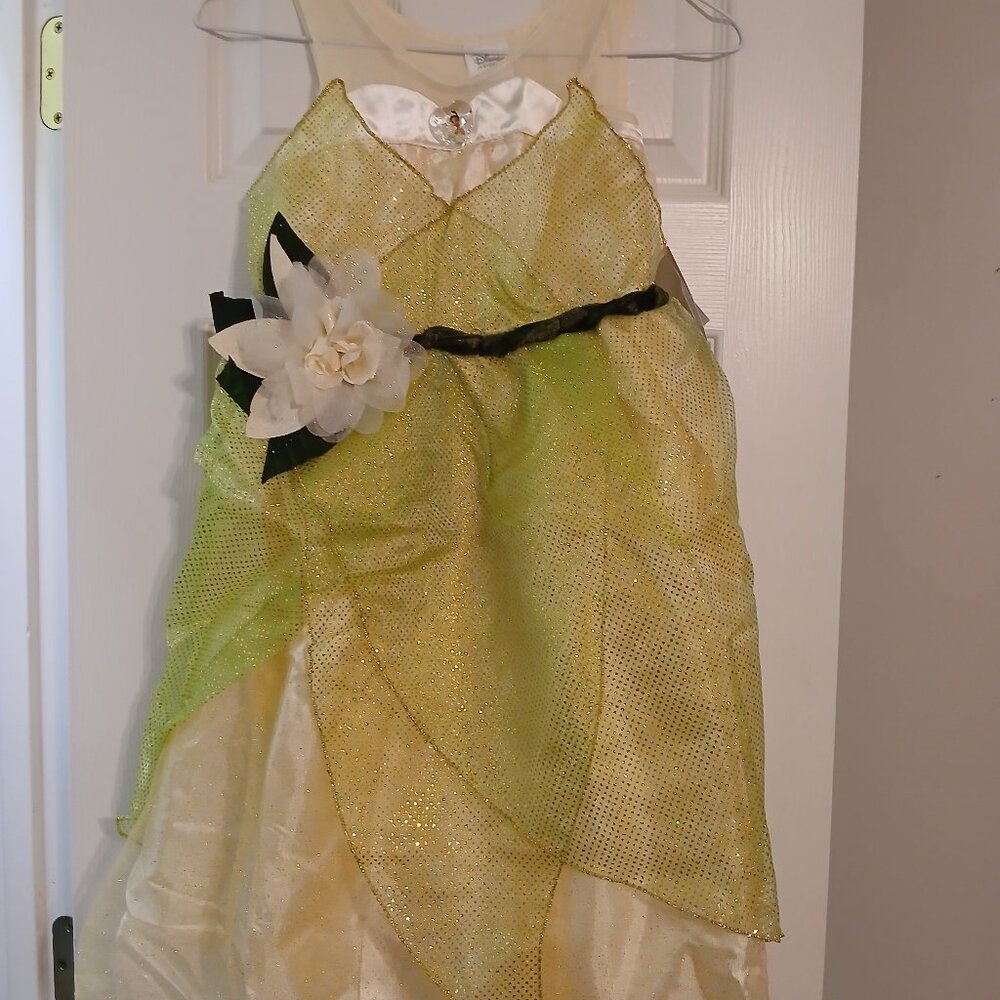 NWT ~ Disney Store Princess and Frog Costume ~ Size M 7/8